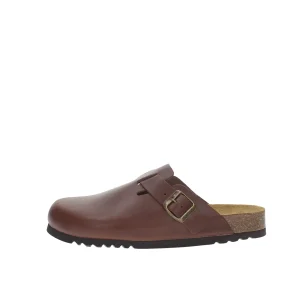 Scholl Sabot Olivier New F318451011