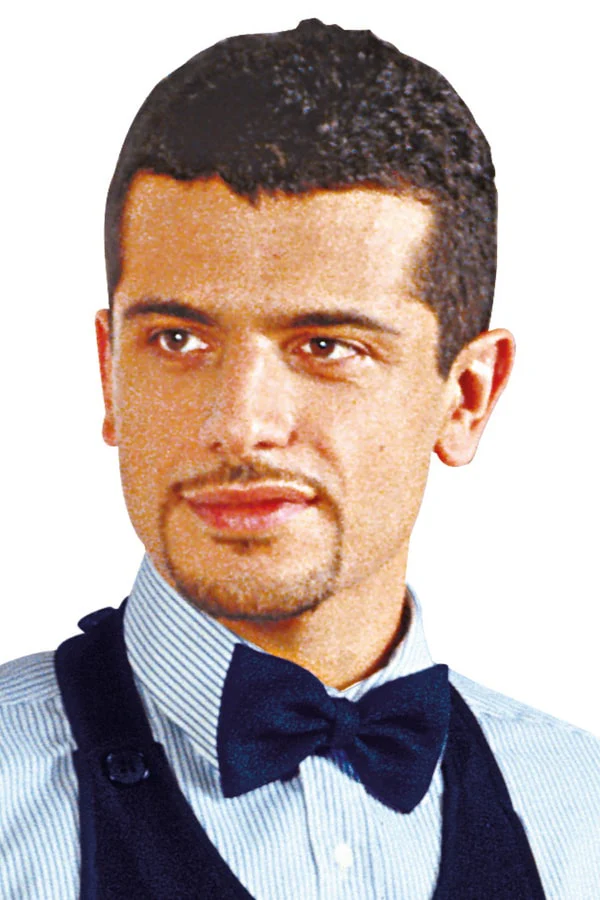 Papillon colours - immagine 5