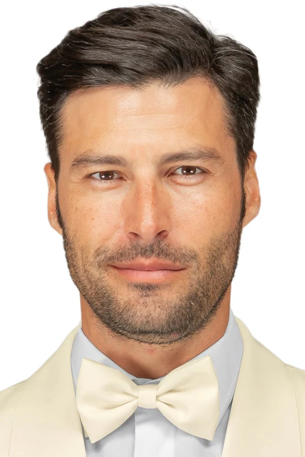 Papillon colours - immagine 8