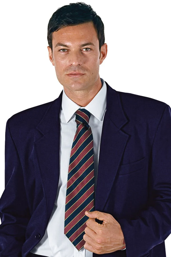 Cravatta Regimental - immagine 8