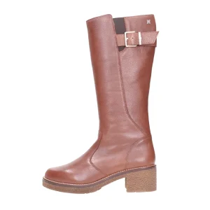 Callaghan Stivale 29503