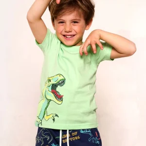 T-shirt con dinosauro