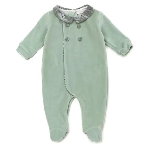 TUTINA VERDE SALVIA COCCODE'